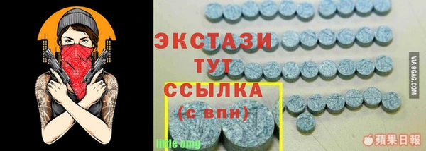 дурь Ельня