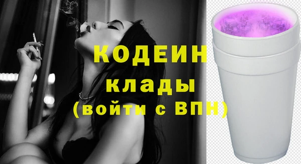 дурь Ельня