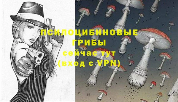 дурь Ельня
