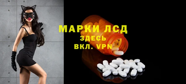 дурь Ельня