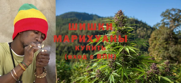 дурь Ельня