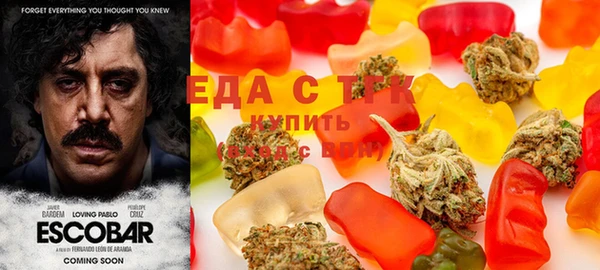 дурь Ельня