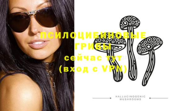 дурь Ельня