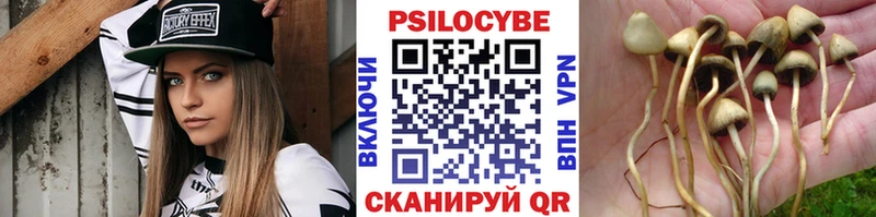 Галлюциногенные грибы ЛСД  Кедровый 